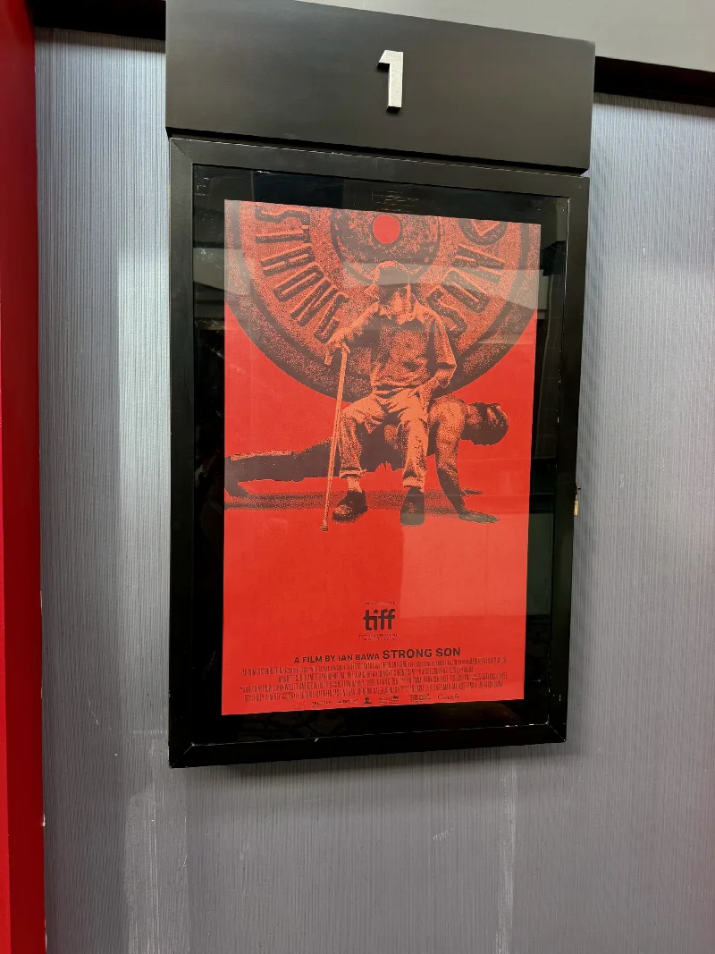 In the Wild